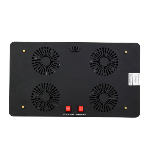 Popularny 2000W Cob LED Grow Light Sell