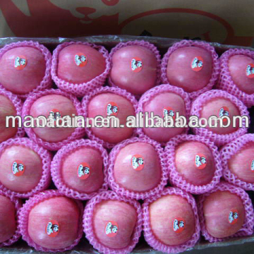 Yantai Fresh Red Fuji Apple-Stripe