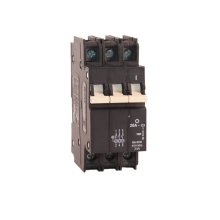 CBI Hydraulic Magnetic MCB Type 1P 2P 3P 63A DIN Rail Mount