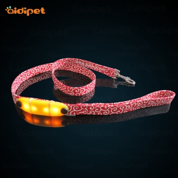 Nylon Led Night Safety Flashing Glow Up Dog Lead