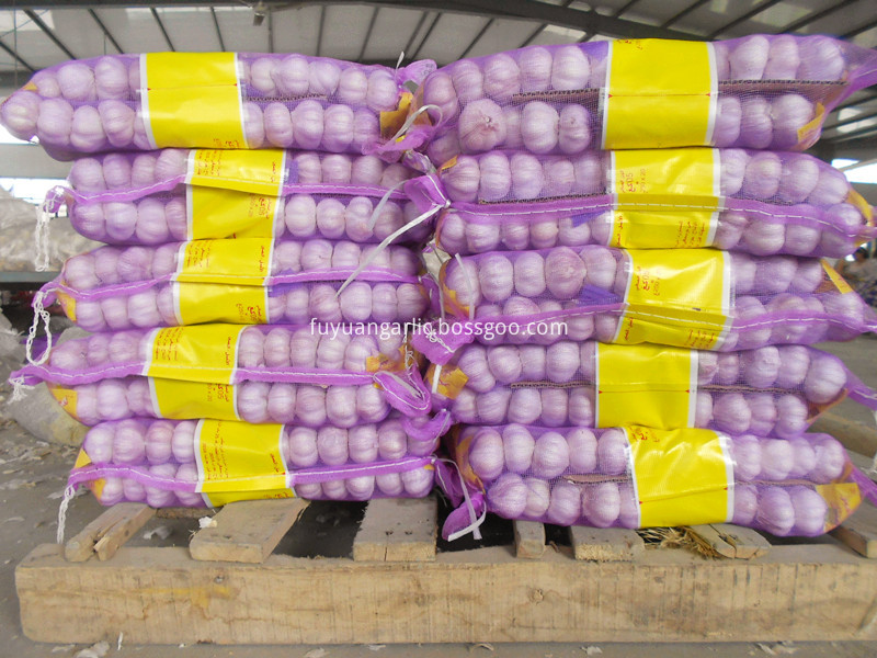 purple mesh bag garlic 