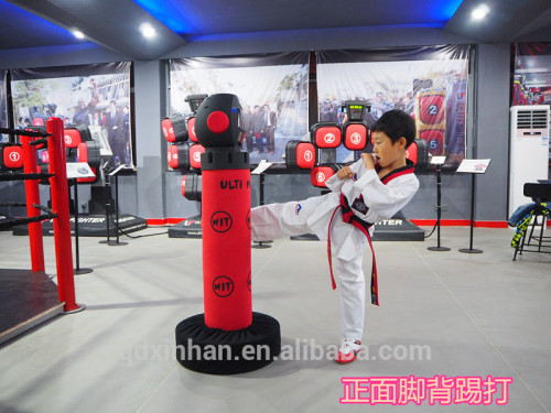 hot fitness gym equipment/galvanized indoor fitness exercise taekwondo gear