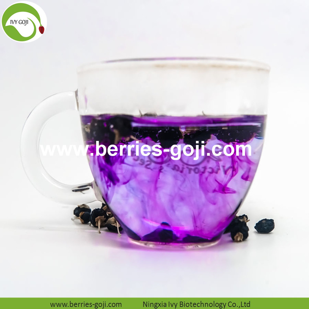 Schwarze Wolfsbeere Black Wolfberry