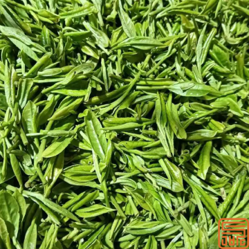Green Tea Extract Polyphenols 98%