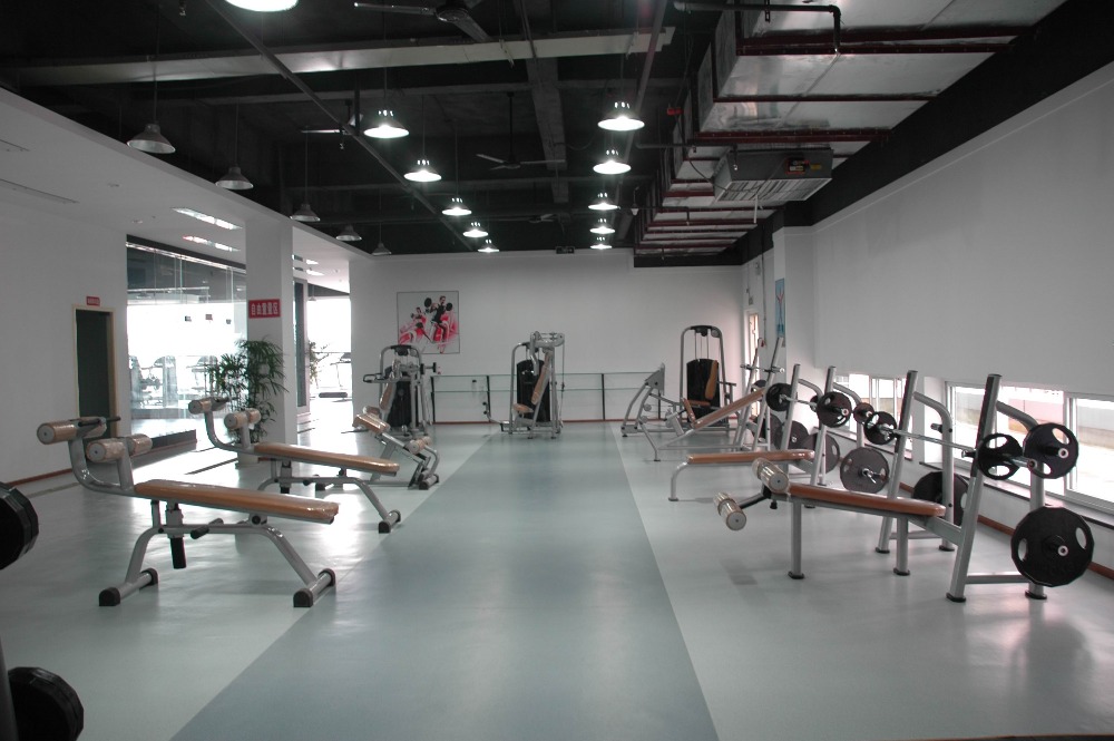 Gym Room Used Professional Commercial Vertical Knee Raise