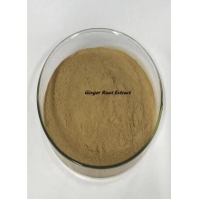 Factory Price Ginger Root Pregnancy Extract Powder