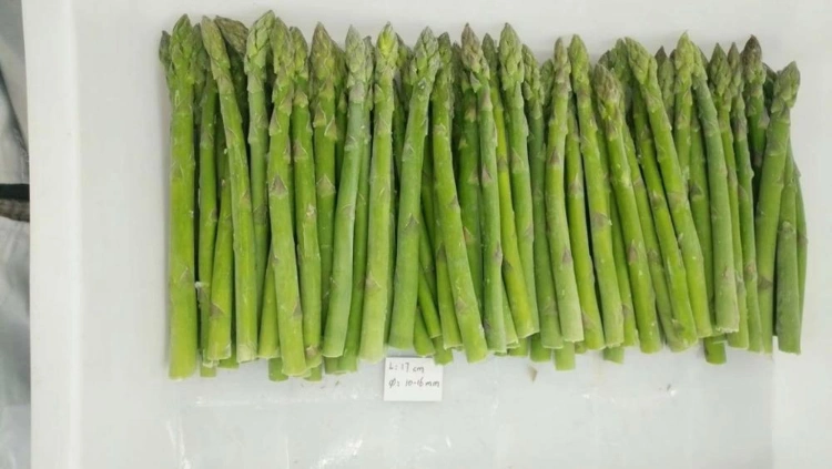 Nop EU Organic IQF Frozen Vegetables Green Asparagus From China