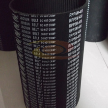 Rpp-Profile Timing Belt in Rubber