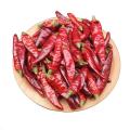 Base direct drying star pepper slightly spicy flavor