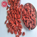 High Quality Tastes Great Low pesticide Goji Berries