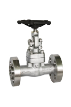 Inconel Gate Valve (2)