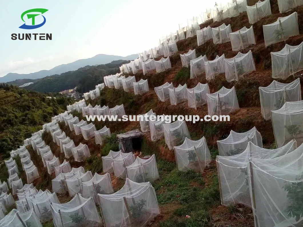 EU Standard HDPE/PE/Nylon/Plastic Vegetable Protection/Anti Mosquito/Malaria/Fly/Hail/Bee/Aphid/Insect Control/Proof Net for Greenhouse/Farm