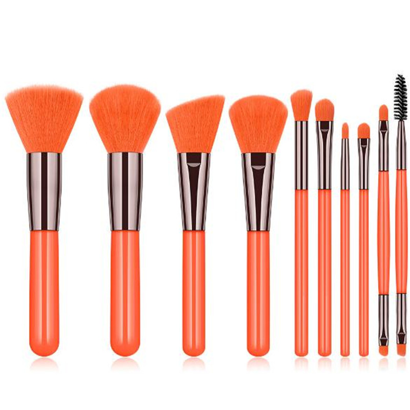 10 fluorescent color makeup blush brush powder  eye shadow lip eyelash  brush set