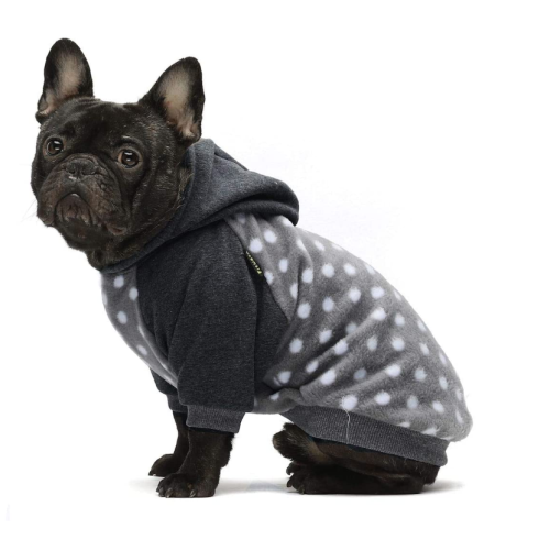 Cachorro Hoodie Camisolas Pullover gato jaquetas