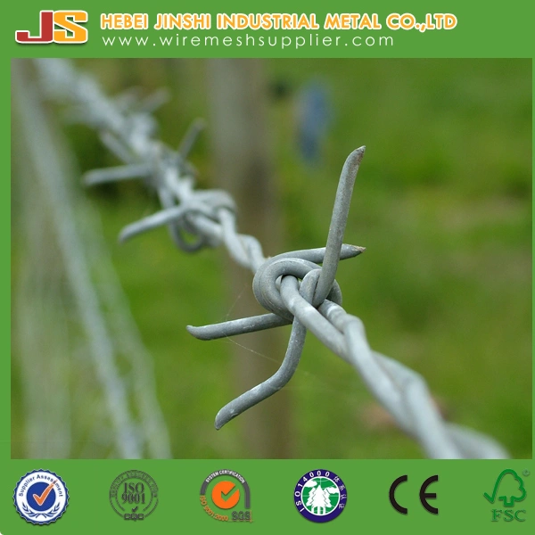 14 Gauge Galvanized Twisted Barbed Wire