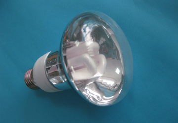 Par energy saving light bulbs