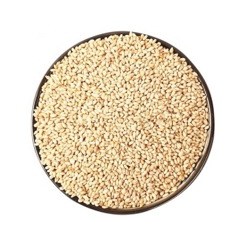 Organic White Quinoa Seeds