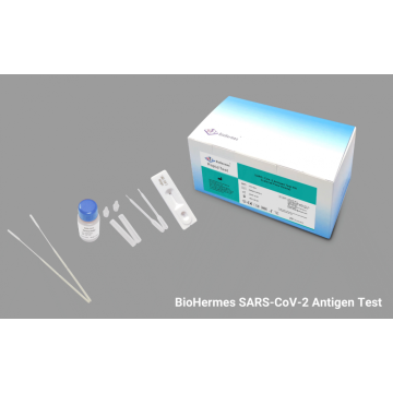 Teste de antígeno SARS POCT