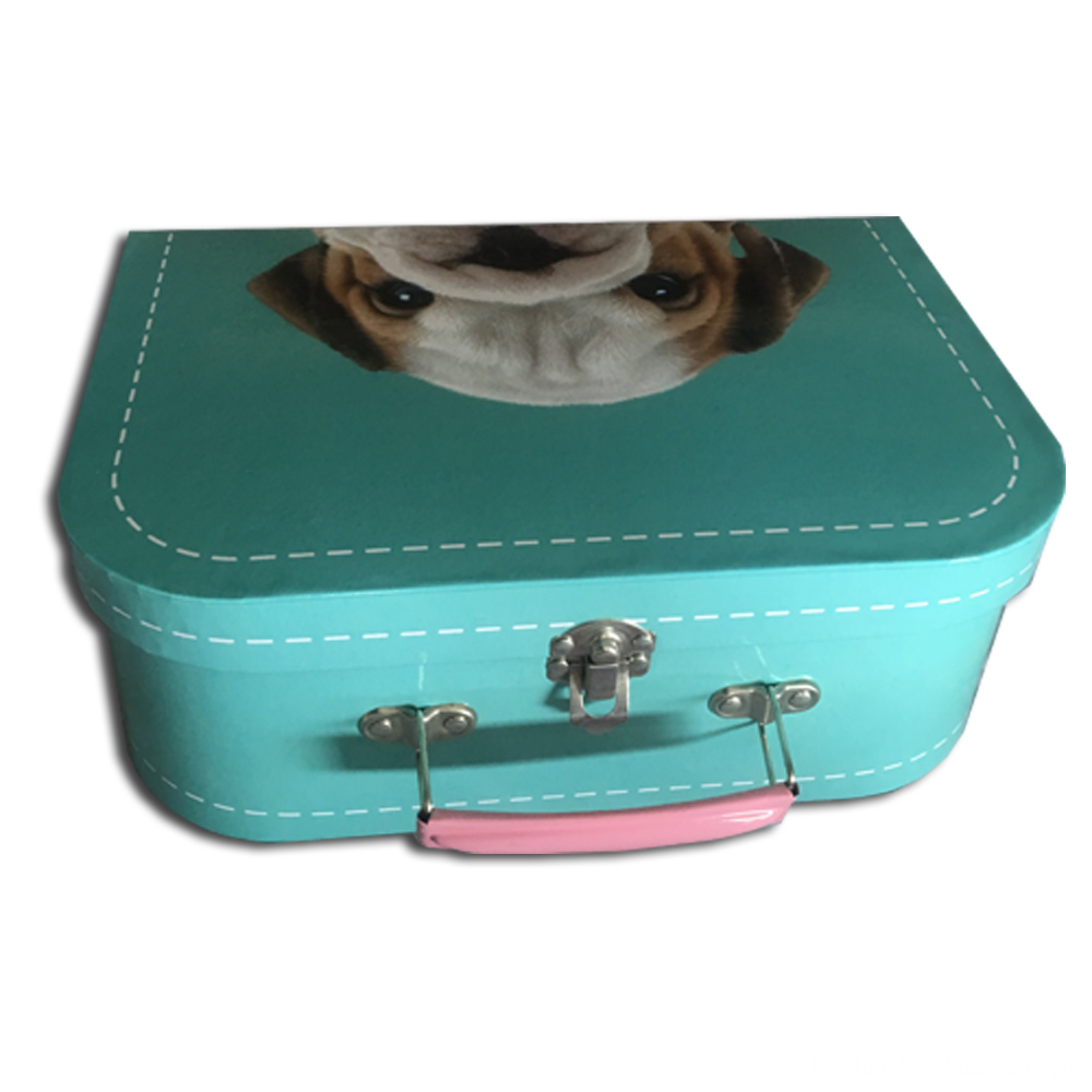 Cyan Color Carry Mini Printed Suitcase Box