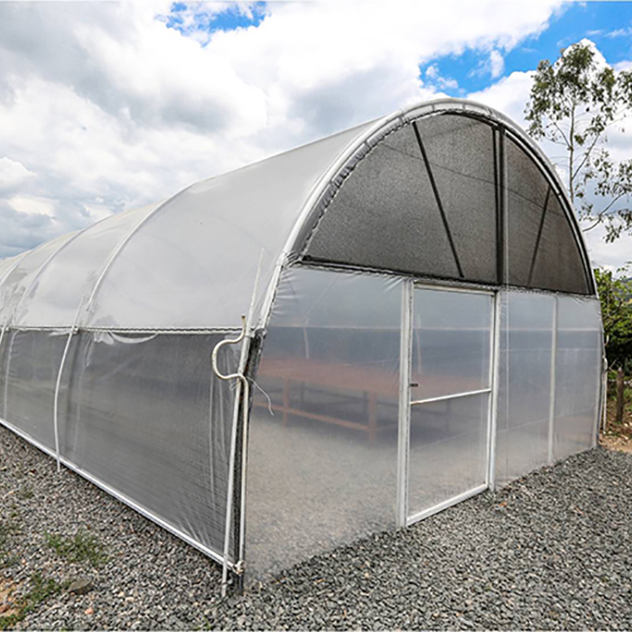 Agricultural PE Film Single Span Greenhouse