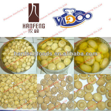 white button mushroom