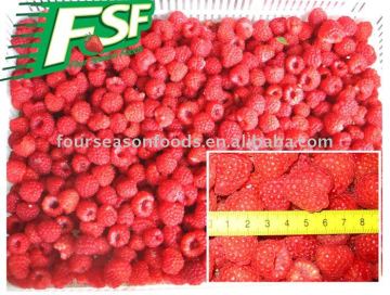 IQF berry raspberry