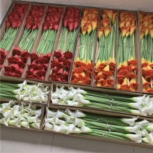 Wholesale Decorative Large Flower Real Touch Artificial Calla Lily YAYUN W-1033
