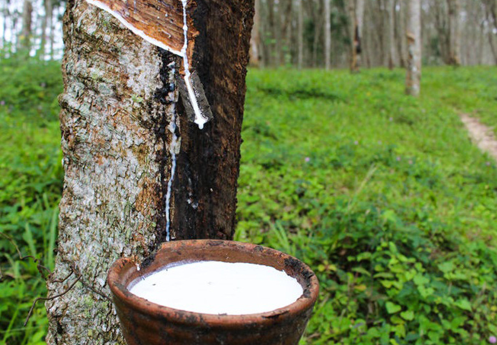 Сырые резиновые материалы Raw rubber materials