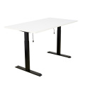 Modern Computer Desk Ergonomic Adjustable Smart Desk