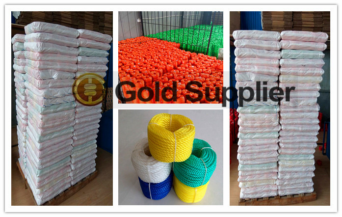 Polypropylene/PE Fishing Net Rope and Twine/Braided Rope