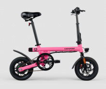 Adult Foldable Campus Ebike