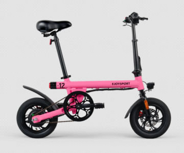 Adult Foldable Campus Ebike