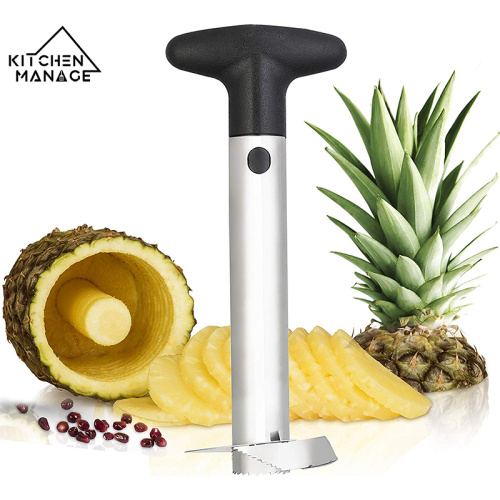 Rostfritt stål + abs ananas corer