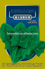 High Quality Chinese Spinach Seeds Leafy Vegetable Seeds For Planting-Fuji Organic Spinach