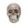 1: 1 Resina Human Head Skull