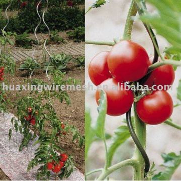 Tomato Spirals Plant Support
