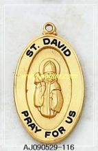 st .david pendants