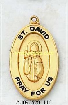 st .david pendants
