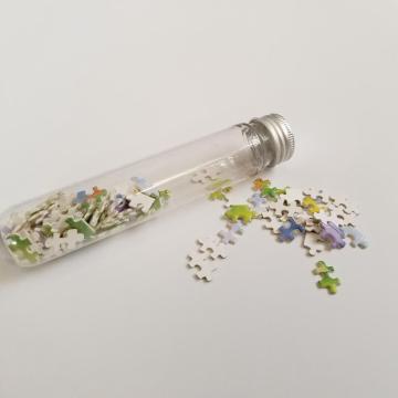 puzzle where pictures represent words