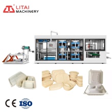Automated Corn Starch Plastic Tray Manufacturing: Exploring Vacuum Thermoforming Techniques
