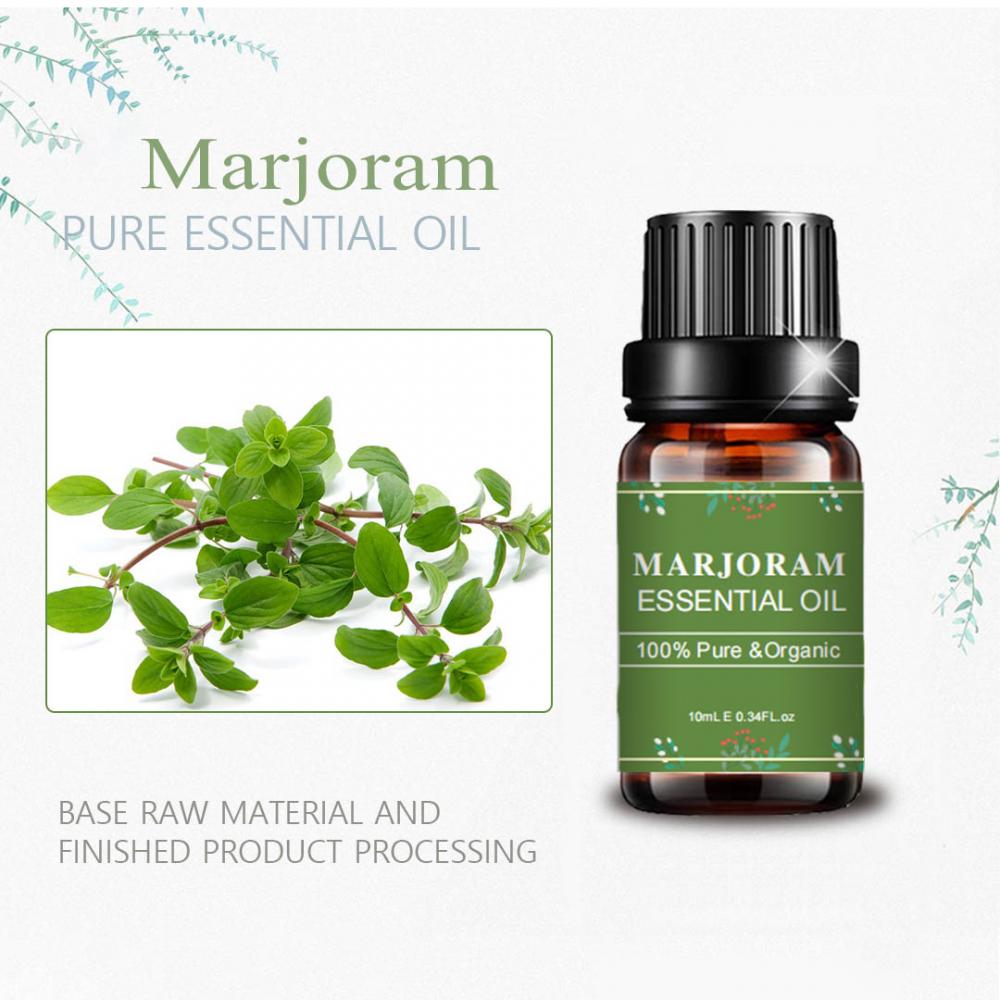 Label pribadi OEM Marjoram Diffuser Essential Oil New