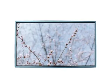 Ronen 21.5 Inch 1920X1080 TFT LCD Display Multi-Media Display