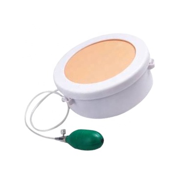 SC-LV20 Laparotomy Surgery Training Manikins