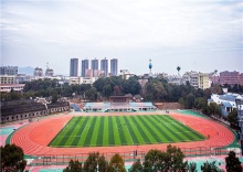 Weather Resistant Indoor Outdoor Athletic Track Running Track