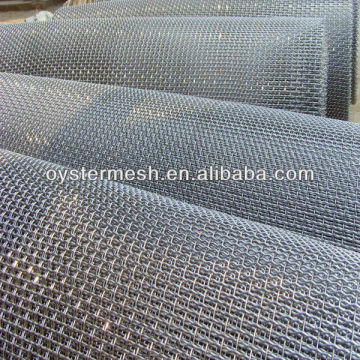 Stainless Steel Crimped Wire Mesh,Precrimped Wire Mesh,Crimped Wire Cloth