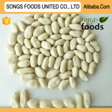 Hot Sale Blanched Peanuts Kernels Company Songs Foods