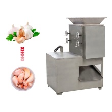 Automatic Garlic Separating Machine - 1200 kg/h Capacity
