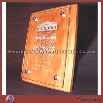 Wall Mouunted Acrylic Award Plaque