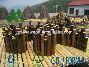 Bamboo Edging for Plant