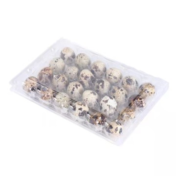 Wholesale Quail Eggs Tray Blister Box Clamshell Packaging